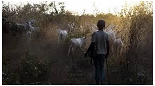 Herdsmen Gang-Rape 13-Year-Old Girl In Enugu, Kill One