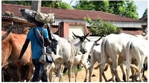 Foreign Herdsmen Must Return Home To Allow Displaced Refugees To Reclaim Their Ancestral Lands