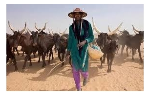 Herdsmen Cannot Be Federal Government's Financial Responsibility