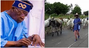 President Tinubu: Embrace Ranching For A Civilized Nigeria