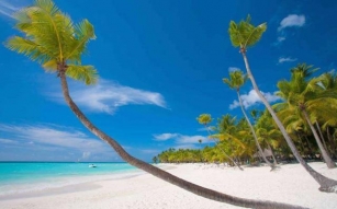 Zanzibar Beach Guide: Premier Destinations For Sun, Sand, And Serenity
