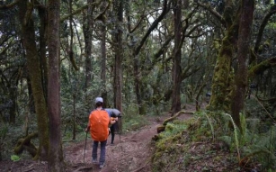 Trek The Machame Route: Kilimanjaro Climb