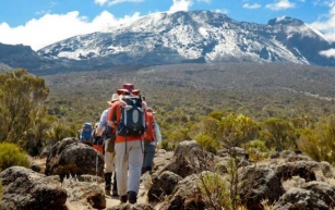 Conquer Kilimanjaro via Lemosho Route