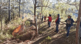 SNAP-Benguet And NPC Equip Communities With Forest Fire Response Training