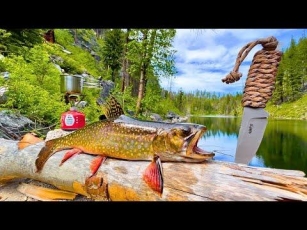 WILD Trout Catch & Cook In Remote Mountains!!! (SOLO Challenge)