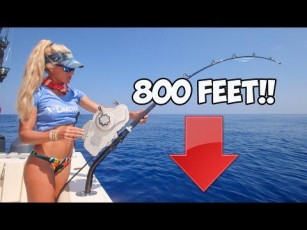 $5000 Reel Fishing 800 Ft Deep & Caught A New Species! (Florida Keys Catch & Cook)