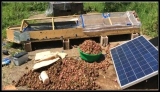 DIY: How To Make Solar Dryer For Root Crop Chip Processing