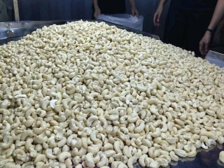 Cashew Export Nuts Value And Healthy Growth In Nigeria And Worldwide - You Need To Start No