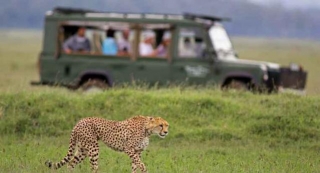 Kenya Travel Packages From India