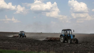 Ukraine Court Orders Agriculture Minister Into Custody For Suspected Corruption