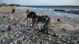 G7 To Commit To Reducing Plastic Production, Says French Environment Minister