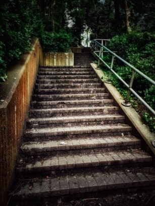 The Stairway We Never Stop Climbing: Making Your Strides Count