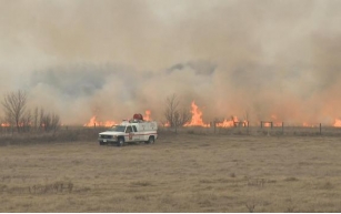 Grassfire got out of control east of Saskatoon, fire department