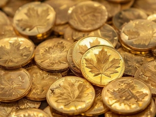 Canadian Gold Maple Leaf Rounds