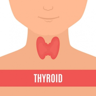 Effective Ways To Increase Thyroid Levels