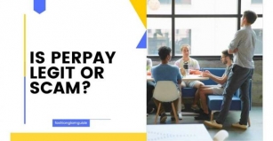 Is Perpay Legit Or A Scam? Know All The Details