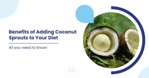 Benefits Of Adding Coconut Sprouts To Your Diet