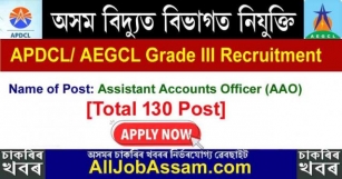 APDCL/ AEGCL Grade III Recruitment 2024 – Assistant Accounts Officer (AAO) 130 Posts