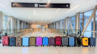 Travelpro Bold Luggage Reviews: Unbiased Evaluation