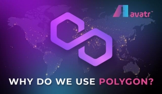 Why Do We Use Polygon?