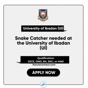 Snake Catcher Needed At The University Of Ibadan (UI)