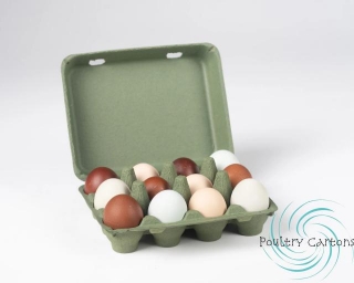 The Green Revolution Of Eco-Friendly Paper Egg Cartons