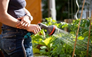 7 Common Gardening Mistakes Nearly Everyone Makes