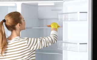 How Frequently Should You Clean Your Refrigerator?