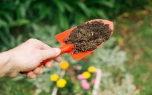 Best Ways to Test Your Soil pH