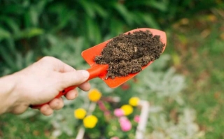 Best Ways To Test Your Soil PH