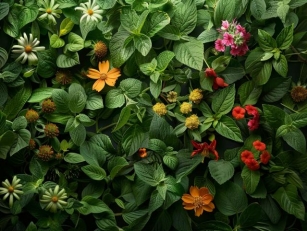 Discover The Magic Of Self-Seeding Plants