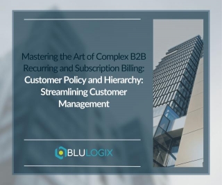 Mastering The Art Of Complex B2B Recurring And Subscription Billing: Customer Policy And Hierarchy: Streamlining Customer Management