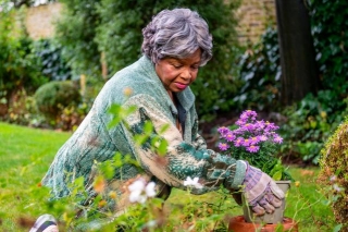 5 Spring Activities For Seniors To Embrace The Season