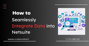 How To Seamlessly Integrate Data Into Netsuite?