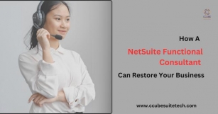 How A NetSuite Functional Consultant Can Restore Your Business?