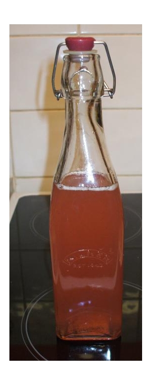 You Have To Try This – Rhubarb Cordial