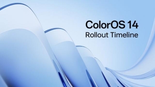 Oppo ColorOS 14 Update Expansion: List Of Eligible Devices