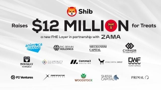Shiba Inu Raises 12 Million In A Strategic Venture Capital Round For Its New FHE Blockchain Via $TREAT