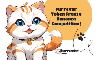 Furrever Token (FURR) Shines With $10,000 Reward Competition Amid Bitcoin (BTC) And Ethereum (ETH) Recovery Efforts