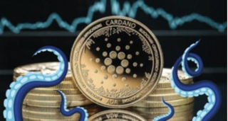 Are Octoblock USDC Rewards Able To Attract More Cardano Holders?