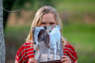 Bill Allowing Kids To Pull Animals From Fair Auctions (and Slaughter) Faces Opposition