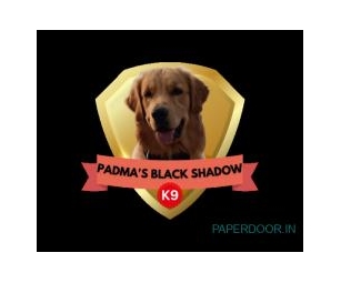 Padma's Black Shadowk9
