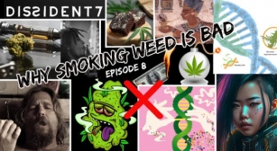 Why Smoking Weed Is Bad – Weaponized Marijuana, Chav’s, Art, Marley, Hendrix – Just My $0.02 – Ep 8
