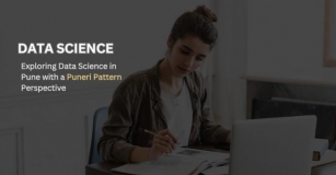 Title: Unraveling Data Science In Pune: A Puneri Pattern Perspective
