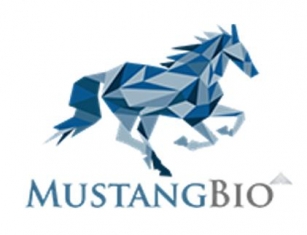 Mustang Bio's MB-106 CAR-T Therapy A Game-Changer For Waldenstrom Macroglobulinemia Treatment