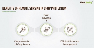 Remote Sensing For Crop Protection