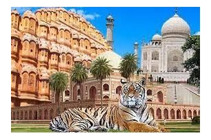 Golden Triangle Tour With Ranthambore By India Golden Triangles Company.