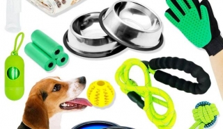 The Best Dog Accessories
