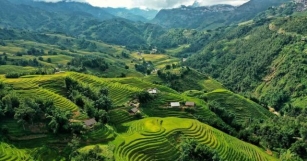 Discovering The Beauty And Heritage Of Ta Pa Rice Fields In Vietnam