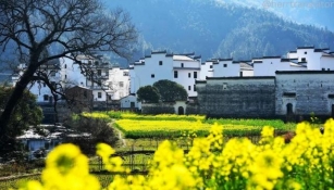 Wuyuan: A Timeless Blend Of Nature And History